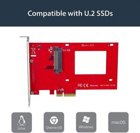 img 2 attached to 🔌 StarTech.com U.2 to PCIe Adapter - x4 PCIe - For 2.5" U.2 NVMe SSD - SFF-8639 PCIe Adapter - U.2 SSD - PCIe SSD - U.2 Drive (PEX4SFF8639) - Enhanced SEO