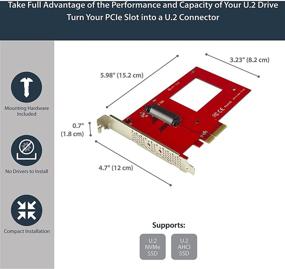 img 1 attached to 🔌 StarTech.com U.2 в адаптер PCIe - x4 PCIe - Для 2,5" U.2 NVMe SSD - Адаптер SFF-8639 PCIe - U.2 SSD - PCIe SSD - U.2 Диск (PEX4SFF8639) - Улучшенный SEO