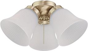 img 4 attached to 💡 Enhance your Ceiling Fan with the Westinghouse Lighting 7784500 LED Cluster Light Kit – Polished Brass Finish and Frosted Ribbed Glass
