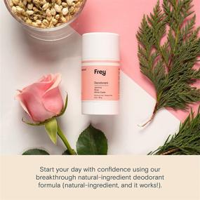 img 1 attached to 🌿 FREY Aluminum Free Natural Deodorant - Effective Vegan Deodorant for Women and Men - Dye and Cruelty Free