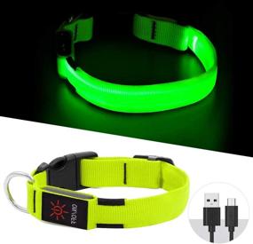 img 3 attached to 🐶 BSEEN LED Dog Collar - USB Rechargeable Light Up Safety Collar | Adjustable Nylon Pet Collar with Metal Buckle | Waterproof & Glow in The Dark | Highly Visible for Large, Medium, & Small Dogs