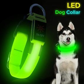 img 2 attached to 🐶 BSEEN LED Dog Collar - USB Rechargeable Light Up Safety Collar | Adjustable Nylon Pet Collar with Metal Buckle | Waterproof & Glow in The Dark | Highly Visible for Large, Medium, & Small Dogs