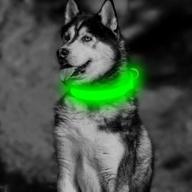 🐶 bseen led dog collar - usb rechargeable light up safety collar | adjustable nylon pet collar with metal buckle | waterproof & glow in the dark | highly visible for large, medium, & small dogs logo