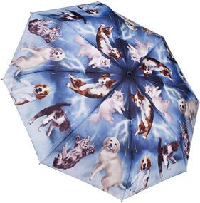 img 4 attached to GALLERIA ENTERPRISES INC 33028 Umbrella: Stylish and Reliable Protection from the Elements