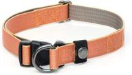 sleepypod locking martingale collar brilliant logo