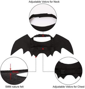 img 2 attached to Ehdching Cat Costume Halloween Pet Bat Wings – The Perfect Cat and Dog Bat Costume!