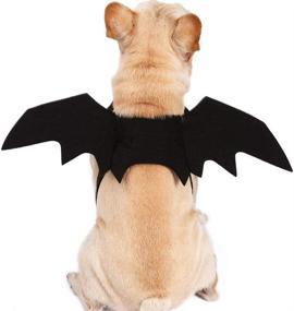 img 3 attached to Ehdching Cat Costume Halloween Pet Bat Wings – The Perfect Cat and Dog Bat Costume!