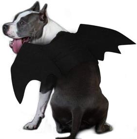 img 4 attached to Ehdching Cat Costume Halloween Pet Bat Wings – The Perfect Cat and Dog Bat Costume!