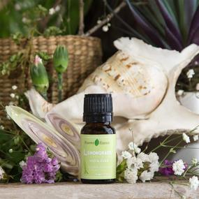 img 3 attached to 🌿 Lemongrass Essential Oil: Sleep-Inducing Organic Aromatherapy, 100% Pure & Natural, 10ml