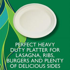 img 1 attached to Hefty ECOSAVE Compostable Paper Platter