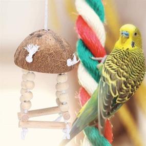 img 2 attached to GLOGLOW Coconut Shell Natural Parrot