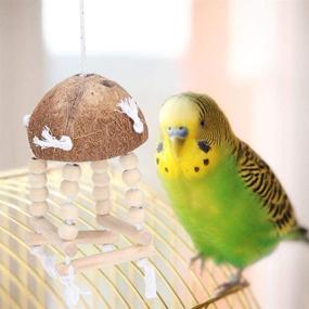 img 1 attached to GLOGLOW Coconut Shell Natural Parrot