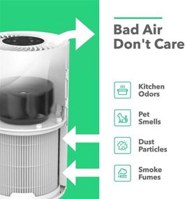 img 2 attached to Vremi Premium HEPA Air Purifier for Large Spaces - Eliminates 99.97% of Airborne Contaminants with H13, Activated Carbon, and 3-Stage Filtration - Enjoy Fresh Air Every Day