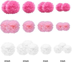 img 1 attached to 22 Piece Pink, Rose Red, and White Tissue Paper Pompoms Paper Flower Ball Set for Birthday, Bachelorette, Wedding, Baby Shower, Bridal Shower, and Party Decoration