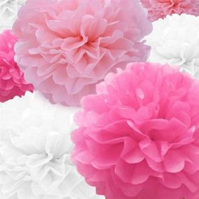 img 2 attached to 22 Piece Pink, Rose Red, and White Tissue Paper Pompoms Paper Flower Ball Set for Birthday, Bachelorette, Wedding, Baby Shower, Bridal Shower, and Party Decoration
