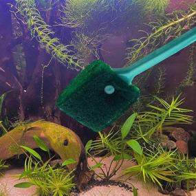 img 1 attached to 🧽 Efficient Algae Cleaning Brush for Aquariums and Kitchen - AOODOOM 3 PCS Double-Sided Sponge Scrubber with Non-Slip Handle