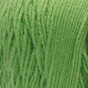 img 3 attached to 🌿 Vibrant Spring Green Super Saver Yarn by Red Heart: High-Quality and Affordable!