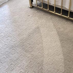 img 1 attached to 🧼 Carpet Details Gallon: Effective 16X Concentrate and Odorless Pet Carpet Cleaning Solution with Free Sprayer