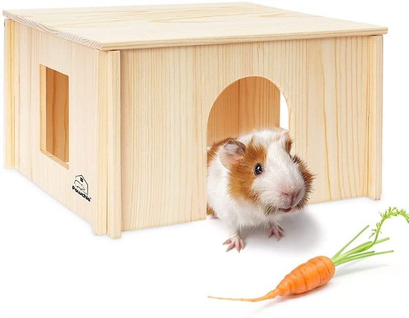 pawchie wooden hut windows chinchillas 로고