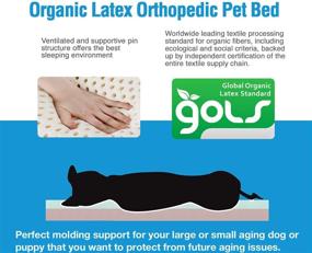 img 3 attached to 🐾 Orthopedic Pet Bed with Latex Support System by Back Support Systems - Ensuring Optimal Comfort and Support for Your Beloved Pet - Available in 4 Sizes