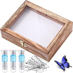 img 4 attached to Insect Display Case Bug Collection Box - Clear Glass Top, EVA Foam Pinning Board, 300pcs Pins - Entomology Supplies for Collecting Butterfly Specimen - Carbonized Black