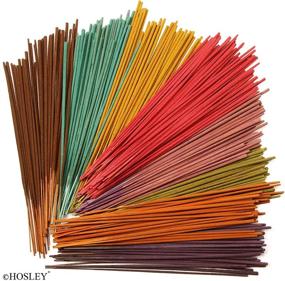 img 2 attached to 🕯️ Hosley 480 Pack Assorted Incense Sticks – Earth, Warm Spice, Nag Champa, Floral Fields, and 8 Random Grab Bag Fragrances – Home Meditation, Aromatherapy, Ideal for O5