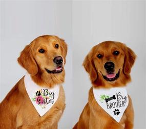 img 2 attached to 🐶 Family Kitchen Big Sibling Pregnancy Announcement Dog Bandana - Gender Reveal Photo Prop, Pet Scarf Accessories, Pet Scarves for Dog Lovers (Pack of 2)