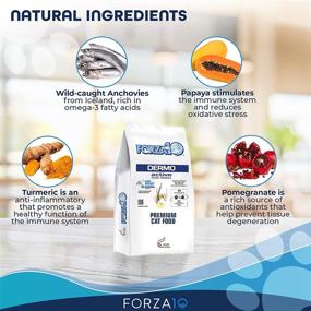 img 2 attached to Forza10 Active Dermo Support Diet: Dry Cat Food for Sensitive Stomach and Skin