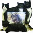 pets 35297 14 large cat frames logo