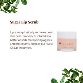 img 2 attached to 🍬 USA-Made Vegan Sugar Lip Scrub Exfoliator - Cruelty-Free with Hawaiian Cane Sugar, Kukui Oil, and Shea Butter to Exfoliate, Smooth, and Brighten Lips (22 g)