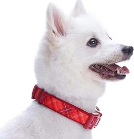 img 1 attached to 🐾 Scottish Plaid Neoprene Padded Dog Collars by Blueberry Pet with Soft & Comfy Design featuring 7 Eye-Catching Patterns