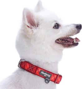 img 2 attached to 🐾 Scottish Plaid Neoprene Padded Dog Collars by Blueberry Pet with Soft & Comfy Design featuring 7 Eye-Catching Patterns