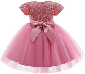 img 1 attached to 👗 Nileafes Flower Girl Princess Dresses for Birthday Parties and Ball Gowns