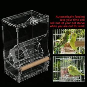 img 3 attached to Acrylic Parrots Automatic Foraging Accessories