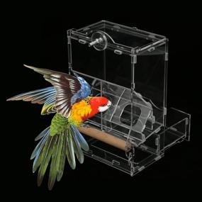 img 2 attached to Acrylic Parrots Automatic Foraging Accessories
