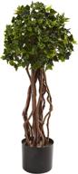 🌿 enhanced seo: 2.5-feet green uv resistant english ivy topiary tree by nearly natural - product 5397 логотип