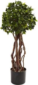 img 1 attached to 🌿 Enhanced SEO: 2.5-Feet Green UV Resistant English Ivy Topiary Tree by Nearly Natural - Product 5397