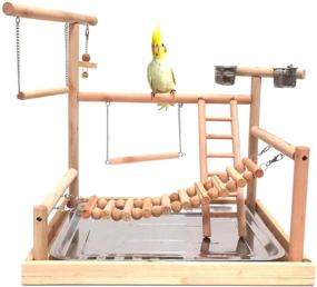 img 4 attached to 🦜 Wooden Bird Perch Stand for Small Animals - Ideal for Parrots, Parakeets, Conures, Cockatiels, Budgies, Gerbils, Rats, Mice, Chinchillas, Hamsters - Cage Accessories and Exercise Toys