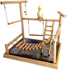 img 2 attached to 🦜 Wooden Bird Perch Stand for Small Animals - Ideal for Parrots, Parakeets, Conures, Cockatiels, Budgies, Gerbils, Rats, Mice, Chinchillas, Hamsters - Cage Accessories and Exercise Toys