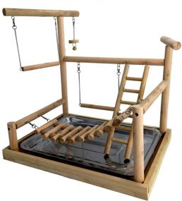 img 3 attached to 🦜 Wooden Bird Perch Stand for Small Animals - Ideal for Parrots, Parakeets, Conures, Cockatiels, Budgies, Gerbils, Rats, Mice, Chinchillas, Hamsters - Cage Accessories and Exercise Toys