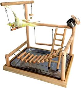 img 1 attached to 🦜 Wooden Bird Perch Stand for Small Animals - Ideal for Parrots, Parakeets, Conures, Cockatiels, Budgies, Gerbils, Rats, Mice, Chinchillas, Hamsters - Cage Accessories and Exercise Toys