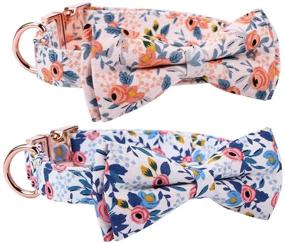 img 3 attached to 🐶 Stylish 2 Pack Dog Collar with Bow Tie: Cute Floral Pattern, Adjustable Rose Gold Buckle for Small Medium Large Dogs (Medium, Pink+Blue)