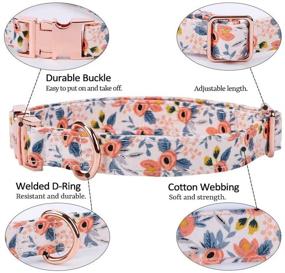 img 2 attached to 🐶 Stylish 2 Pack Dog Collar with Bow Tie: Cute Floral Pattern, Adjustable Rose Gold Buckle for Small Medium Large Dogs (Medium, Pink+Blue)