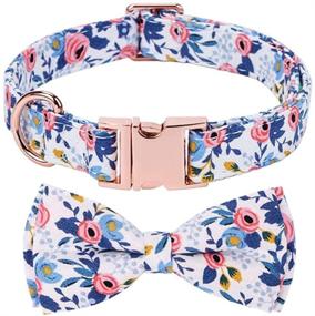 img 1 attached to 🐶 Stylish 2 Pack Dog Collar with Bow Tie: Cute Floral Pattern, Adjustable Rose Gold Buckle for Small Medium Large Dogs (Medium, Pink+Blue)