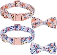 🐶 stylish 2 pack dog collar with bow tie: cute floral pattern, adjustable rose gold buckle for small medium large dogs (medium, pink+blue) logo