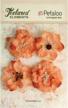 petaloo textured elements blossoms 2 25 inch logo