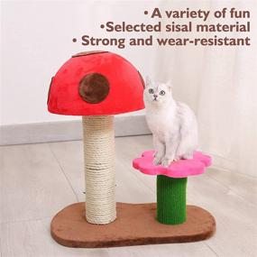 img 3 attached to 🐱 Sasapet Cat Scratching Post: Mushroom Claw Scratcher and Small Cat Tree House - Interactive Toys for Indoor Kittens and Cats