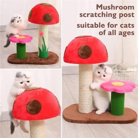 img 2 attached to 🐱 Sasapet Cat Scratching Post: Mushroom Claw Scratcher and Small Cat Tree House - Interactive Toys for Indoor Kittens and Cats