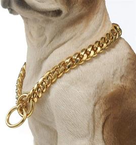 img 2 attached to 🐶 Aiyidi Strong 18K Gold Plated Dog Chain Collar: Stainless Steel, Various Widths - Perfect for Dog Training and Daily Use