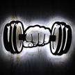 geek alerts dumbbells strength lighting logo